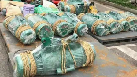 Consegna veloce Prezzo Emirati Arabi Uniti Paranco a fune metallica da 10 tonnellate 6 m